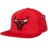 Cap - Chicago Bulls - NBA All Directions - Mitchell & Ness