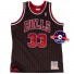 Authentisches Jersey - Scottie Pippen - 33