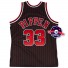 Authentisches Jersey - Scottie Pippen - 33