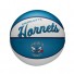 Mini NBA Ball - Charlotte Hornets