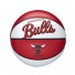 Mini NBA Ball - Chicago Bulls