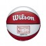 Mini NBA Ball - Chicago Bulls