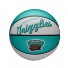 Mini NBA Ball - Memphis Grizzlies