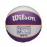 Mini NBA Ball - Phoenix Suns