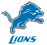 Detroit Lions